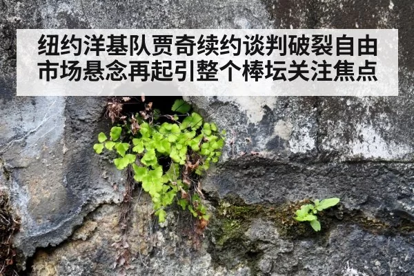 纽约洋基队贾奇续约谈判破裂自由市场悬念再起引整个棒坛关注焦点