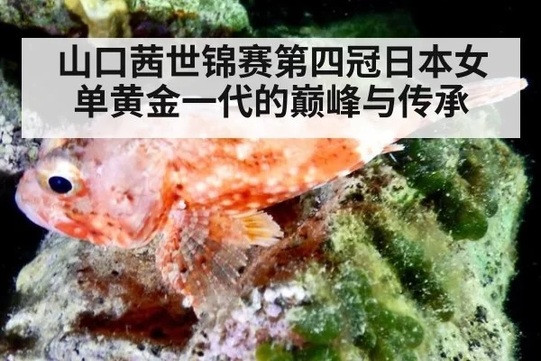 山口茜世锦赛第四冠日本女单黄金一代的巅峰与传承
