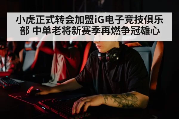 小虎正式转会加盟iG电子竞技俱乐部 中单老将新赛季再燃争冠雄心
